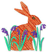 Hare in bluebells